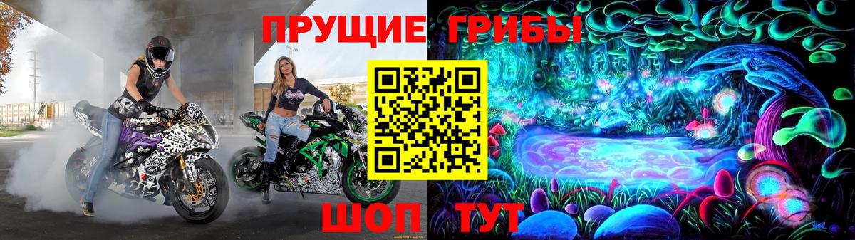 Псилоцибиновые грибы Psilocybine cubensis  Вход с VPN  Трёхгорный 